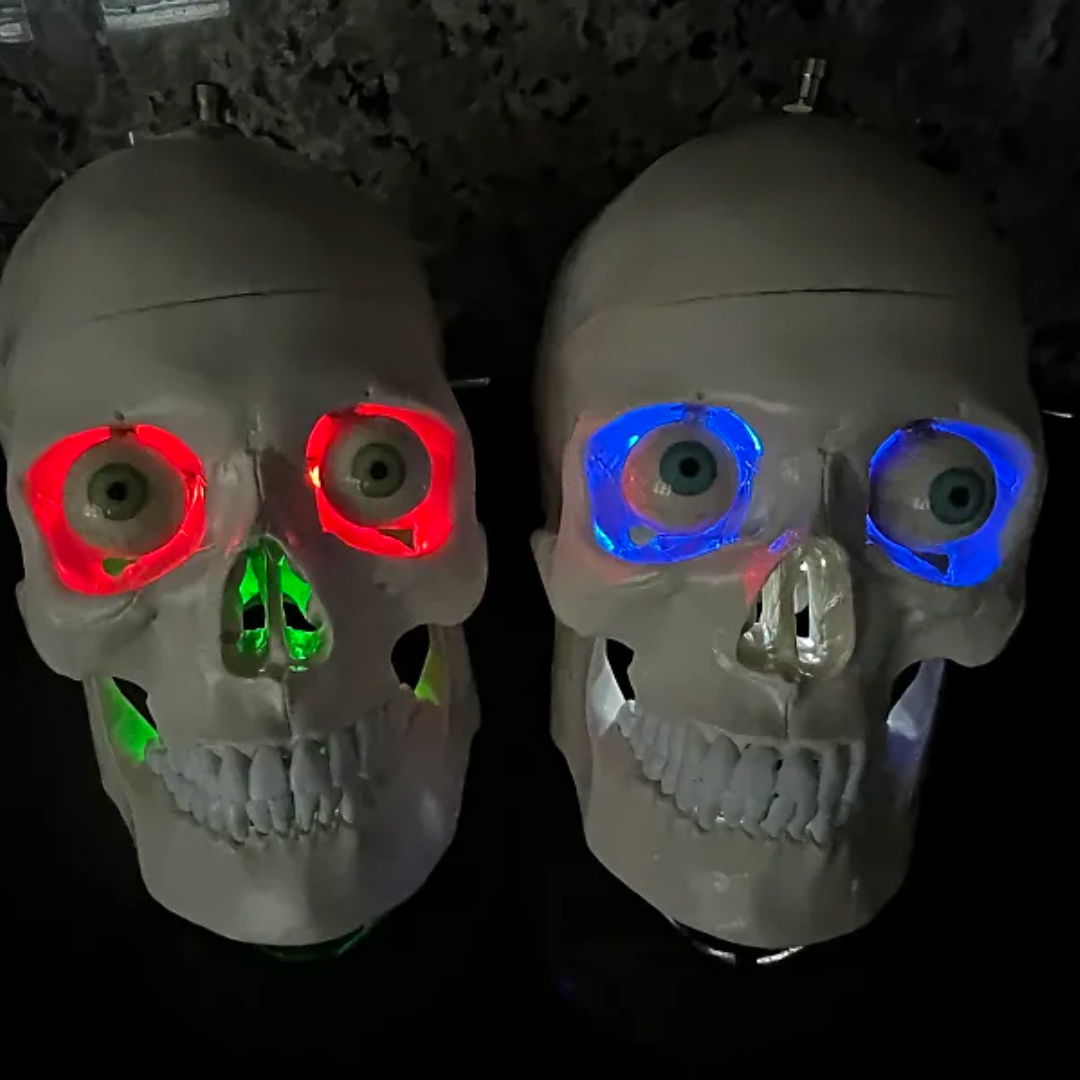 HPZ Skullbox